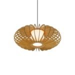 Ellipse wood & glass ceiling light