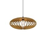 Ellipse wood ceiling light